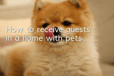 How to receive guests in a home with pets