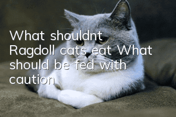 What shouldn’t Ragdoll cats eat? What should be fed with caution?