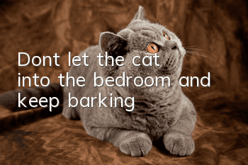 Don’t let the cat into the bedroom and keep barking