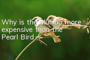 Why is the Muniao more expensive than the Pearl Bird?