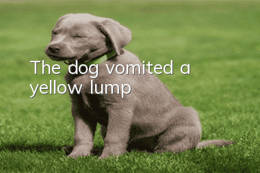 The dog vomited a yellow lump