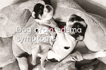 Dog brain edema symptoms