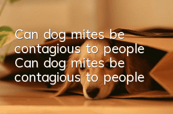 Can dog mites be contagious to people? Can dog mites be contagious to people?