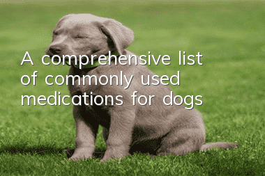 A comprehensive list of commonly used medications for dogs