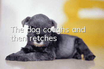 The dog coughs and then retches