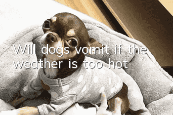 Will dogs vomit if the weather is too hot?