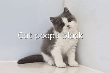 Cat poops black