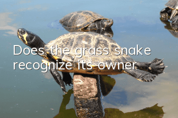 Does the grass snake recognize its owner?