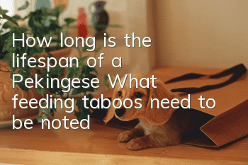 How long is the lifespan of a Pekingese? What feeding taboos need to be noted?