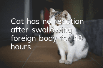 Cat has no reaction after swallowing foreign body for 48 hours