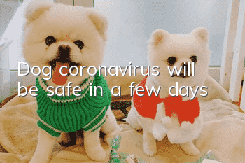 Dog coronavirus will be safe in a few days