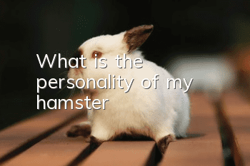 What is the personality of my hamster?