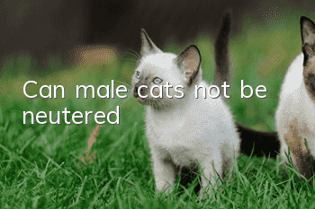 Can male cats not be neutered?