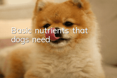 Basic nutrients that dogs need