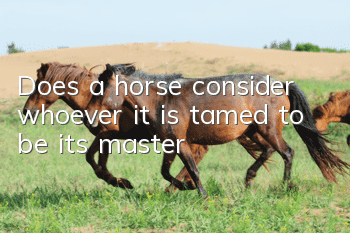 Does a horse consider whoever it is tamed to be its master?