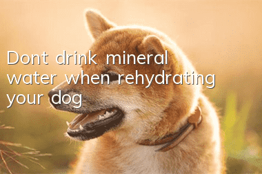 Don’t drink mineral water when rehydrating your dog