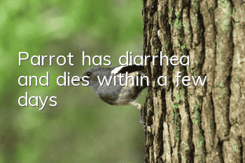 Parrot has diarrhea and dies within a few days