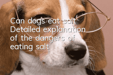 Can dogs eat salt? Detailed explanation of the dangers of eating salt