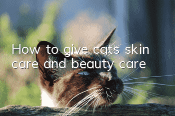 How to give cats skin care and beauty care?