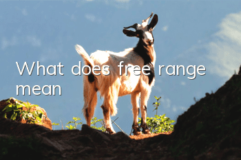 What does free range mean?