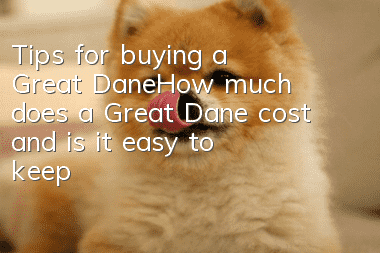 Tips for buying a Great Dane_How much does a Great Dane cost and is it easy to keep?