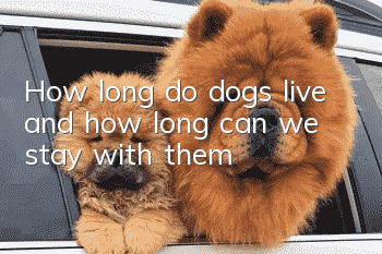 How long do dogs live, and how long can we stay with them?