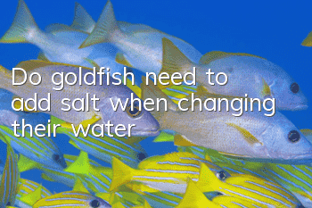 Do goldfish need to add salt when changing their water?