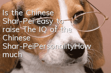 Is the Chinese Shar-Pei easy to raise? The IQ of the Chinese Shar-Pei_Personality_How much does it cost|Price