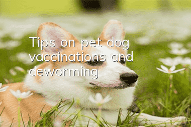 Tips on pet dog vaccinations and deworming