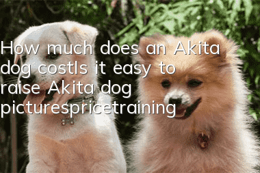 How much does an Akita dog cost_Is it easy to raise? Akita dog pictures_price_training