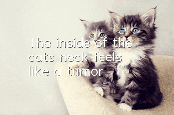 The inside of the cat's neck feels like a tumor