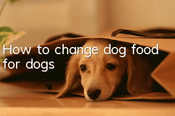 How to change dog food for dogs?