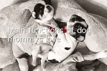 Main functions of dog mommy’s love