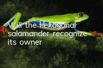 Will the hexagonal salamander recognize its owner?