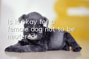 Is it okay for a female dog not to be neutered?