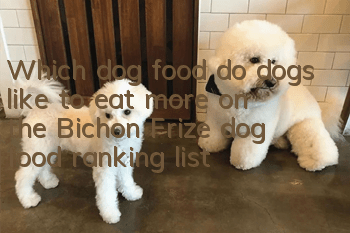 Which dog food do dogs like to eat more on the Bichon Frize dog food ranking list?