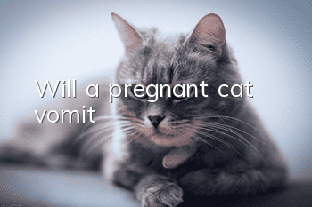 Will a pregnant cat vomit?