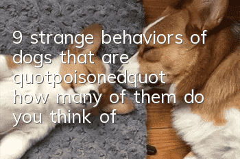 9 strange behaviors of dogs that are "poisoned", how many of them do you think of?