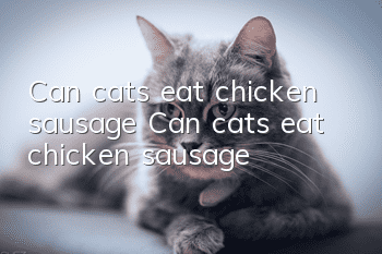 Can cats eat chicken sausage? Can cats eat chicken sausage?