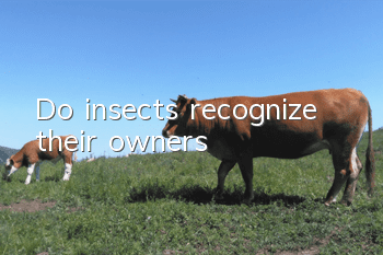 Do insects recognize their owners?