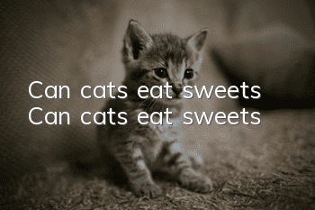 Can cats eat sweets? Can cats eat sweets?