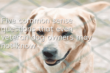 Five common sense questions that even veteran dog owners may not know