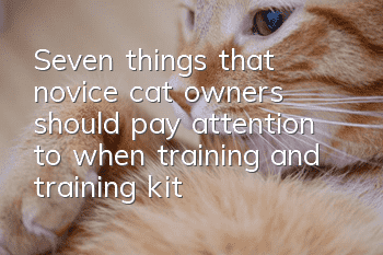 Seven things that novice cat owners should pay attention to when training and training kittens