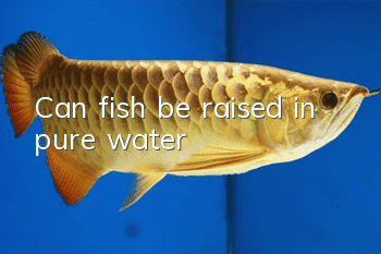 Can fish be raised in pure water?