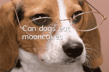 Can dogs eat mooncakes?