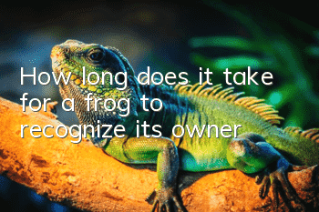 How long does it take for a frog to recognize its owner?