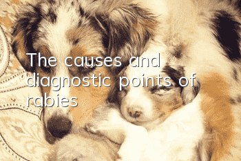 The causes and diagnostic points of rabies