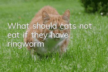 What should cats not eat if they have ringworm?