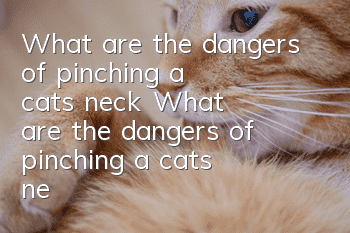 What are the dangers of pinching a cat's neck? What are the dangers of pinching a cat's neck?