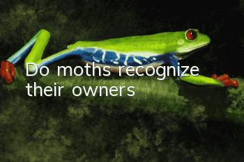 Do moths recognize their owners?